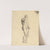 Nude Male Figure by John Trumbull