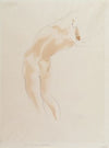 Nude Study