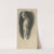 Nude with raised hands by Vojtech Klimkovič