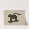 Nutcracker &#8211; Dog Tray (c. 1940) by Gerald Transpota
