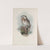 Nyctale tengmalmi. Tengmalm’s Owl. (1862-1873) by John Gould