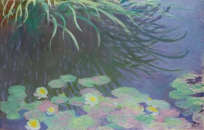 Nymphéas Avec Reflets De Hautes Herbes