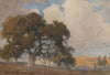 Oak Tree