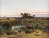 Oasis in the desert