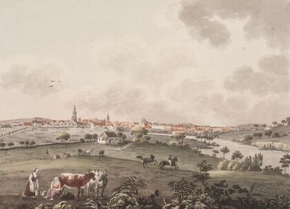 Odense på Fyn, fra den østlige side