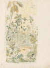 Oerwoud van Siam