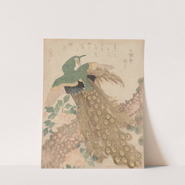 Of Three Pieces [Peacock] (Mi hira no uchi) by Kubo Shunman