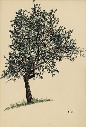 Ohne Titel (Laubbaum)