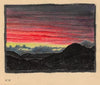 Ohne Titel (Naturstudie) II
