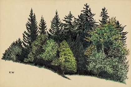 Ohne Titel (Waldstück)