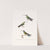 Oiseau-Mouche Écaillé. by Coenraad Jacob Temminck