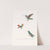 Oiseau-Mouche Superbe by Coenraad Jacob Temminck