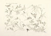 Oiseaux et fleurs japonais. (1866 - 1878)