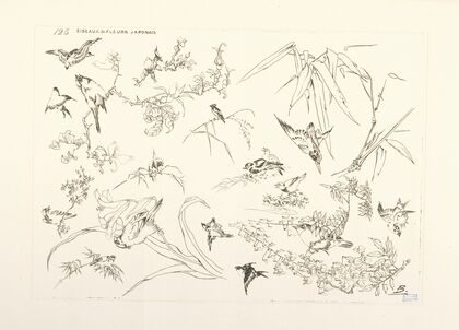 Oiseaux et fleurs japonais. (1866 - 1878)