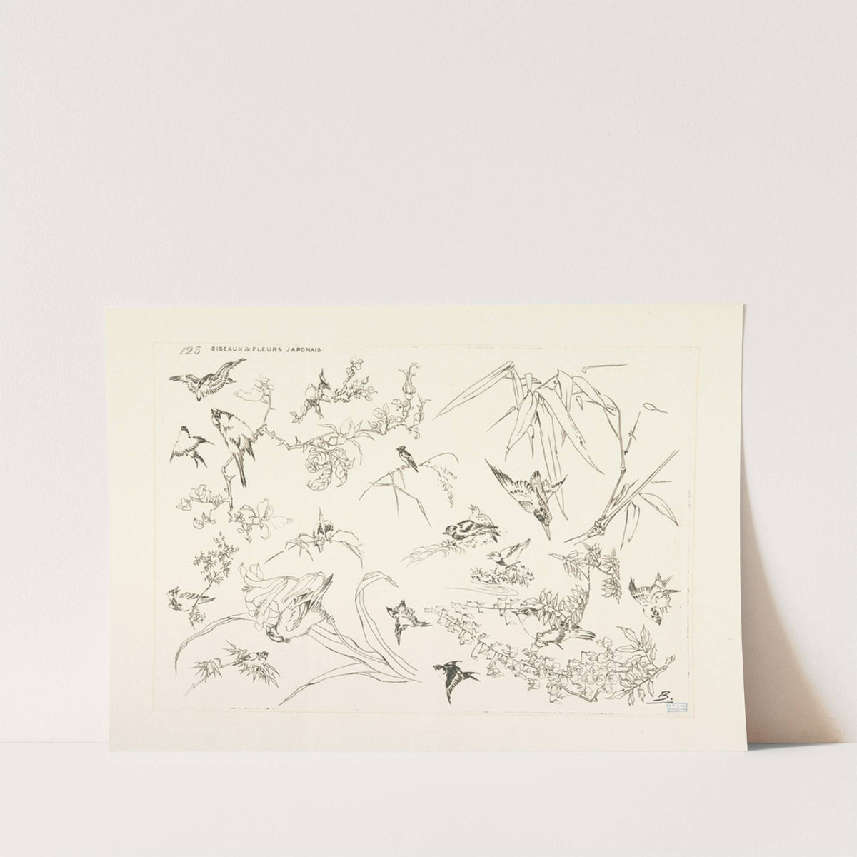Oiseaux et fleurs japonais. (1866 - 1878) by Félix Bracquemond