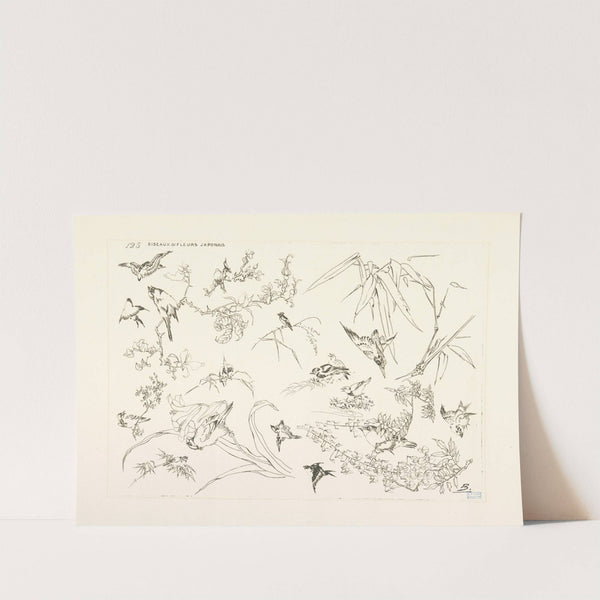 Oiseaux et fleurs japonais. (1866 - 1878) by Félix Bracquemond