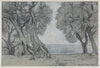 Ölbäume bei Tivoli (1880)