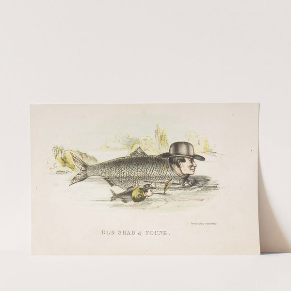 Old Shad & Young (1851) by Henry Louis Stephens