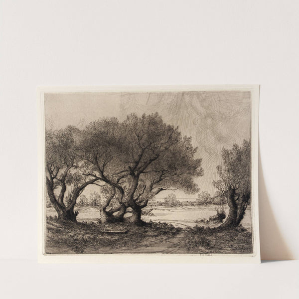 Old Willows by Frederick G. Hall