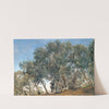 Olive Grove at Tivoly, Italy by Janus la Cour