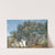 Olive Grove at Tivoly, Italy by Janus la Cour