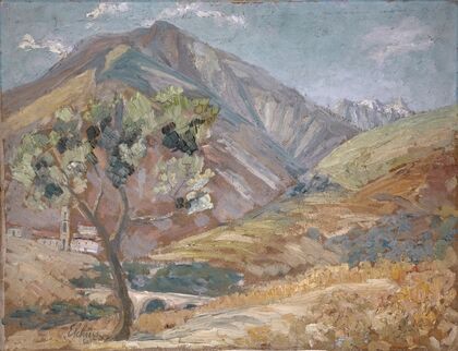 Olive in the Corsican Mountains