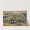 Olive Trees, Mytilini by Konstantinos Maleas