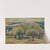 Olive Trees, Mytilini by Konstantinos Maleas