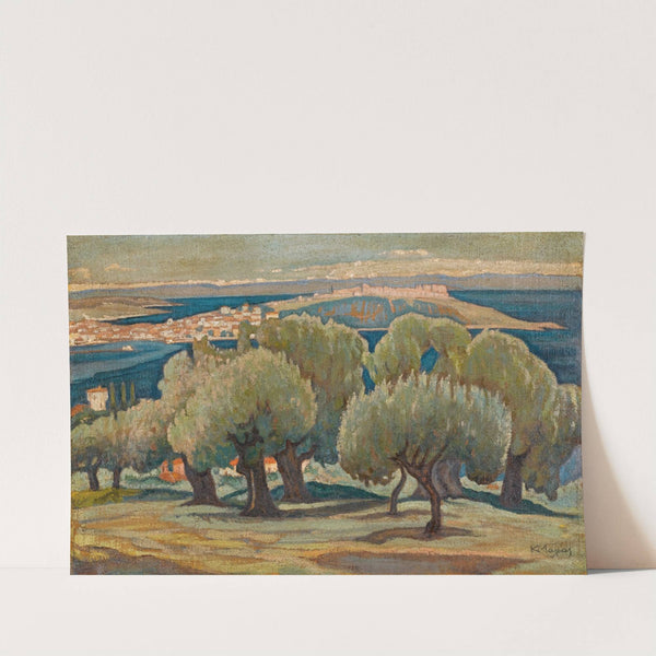 Olive Trees, Mytilini by Konstantinos Maleas