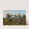 Olive Trees near Olevano by P. C. Skovgaard