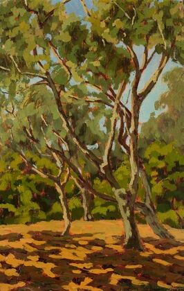Olives and sunny glade