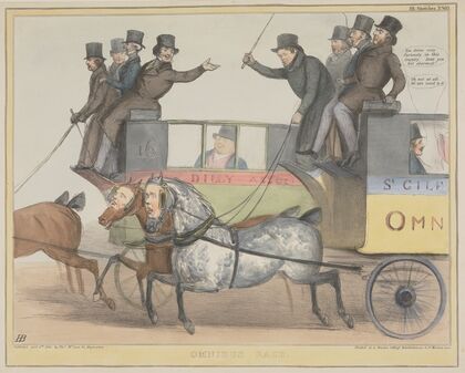 Omnibus Race