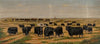 On the Ranch