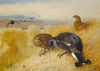 On The Stooks,Blackgame (1902)