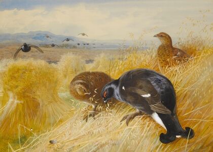 On The Stooks,Blackgame (1902)