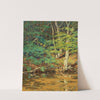 On the Swift River, Tamworth, NH by William Johnson Bixbee