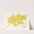 Oncidium aurosum by Jean Jules Linden