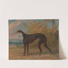One of George Lane Fox&#039;s Winning Greyhounds; the Black and White Greyhound Bitch, Juno, also called Elizabeth by George Garrard