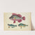 One pink fish, two green fish (1800-1899)