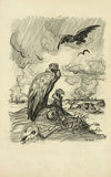 One years work in Mexico (1916)