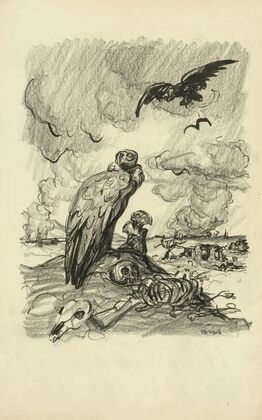 One years work in Mexico (1916)