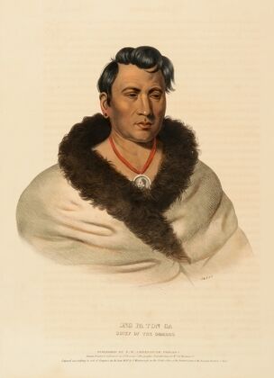 Ong Pa Ton Ga. Chief Of The Omahas