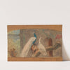 Ontwerp voor een dessus-de-porte; tak met pauw en andere vogels by August Allebé
