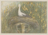 Ooievaar in nest