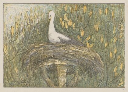 Ooievaar in nest