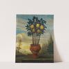Orange tree in an urn by David von Cöln
