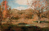 Orchard