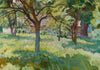 Orchard