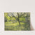 Orchard at Eemnes by Richard Nicolaüs Roland Holst