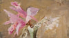 Orchid (1906)